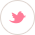 트위터